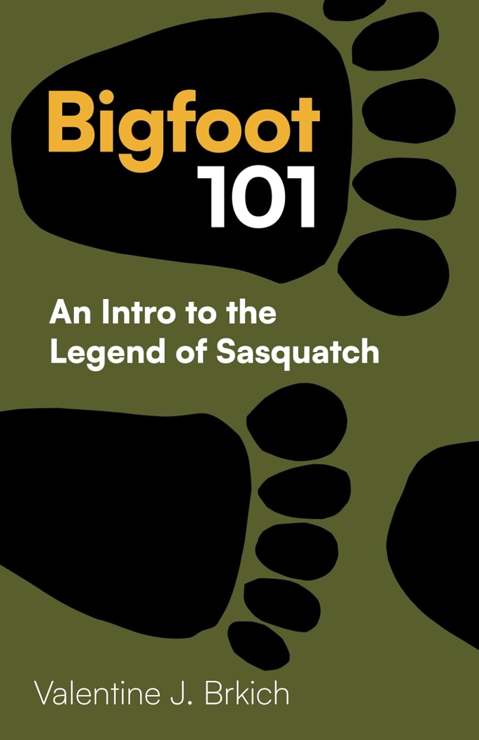Bigfoot 101: An Intro to the Legend of Sasquatch by Valentine J. Brkich