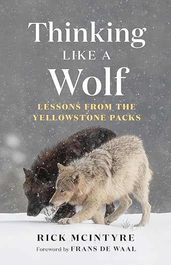 Thinking Like A Wolf by Rick McIntyre