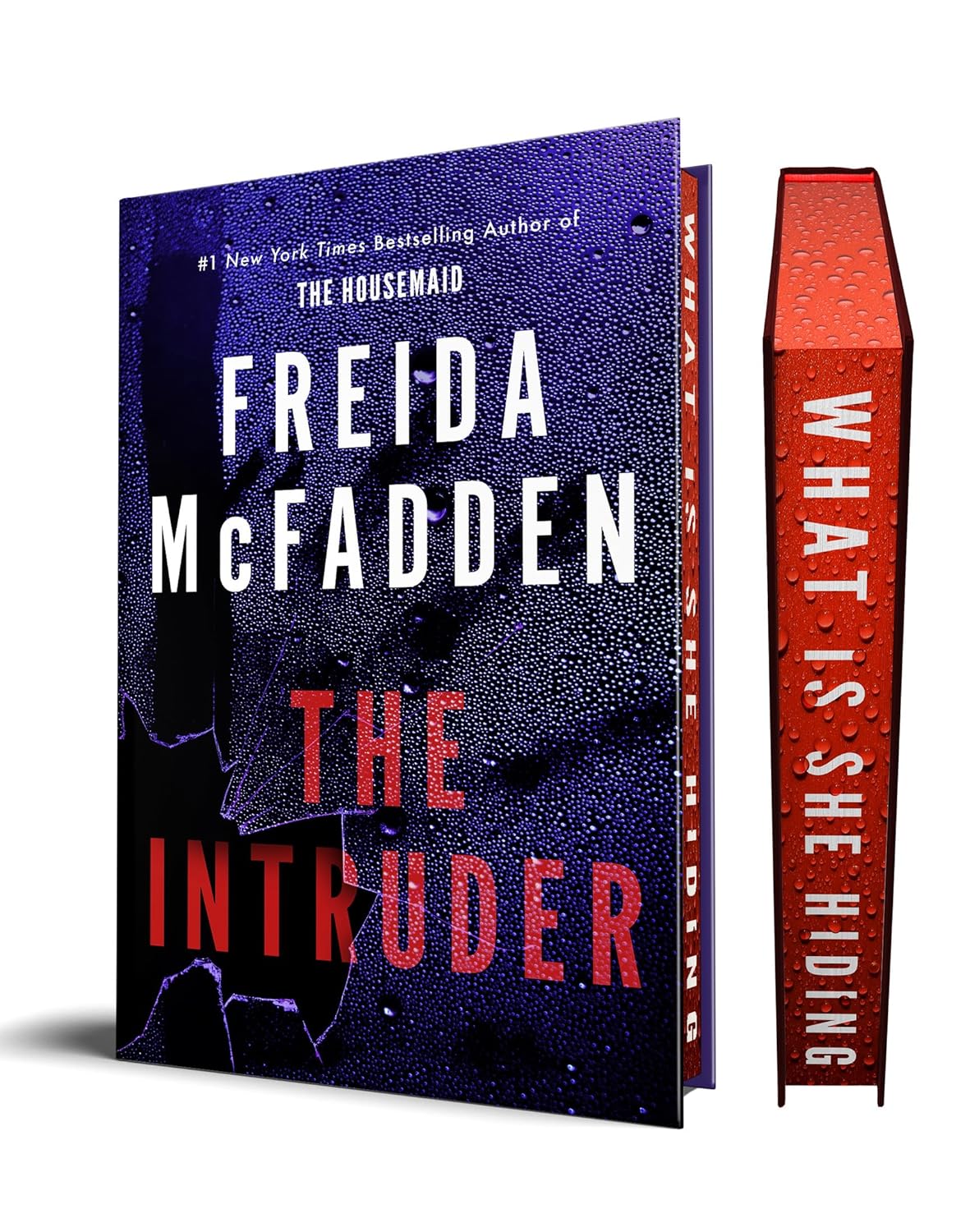 The Intruder by Frida McFadden