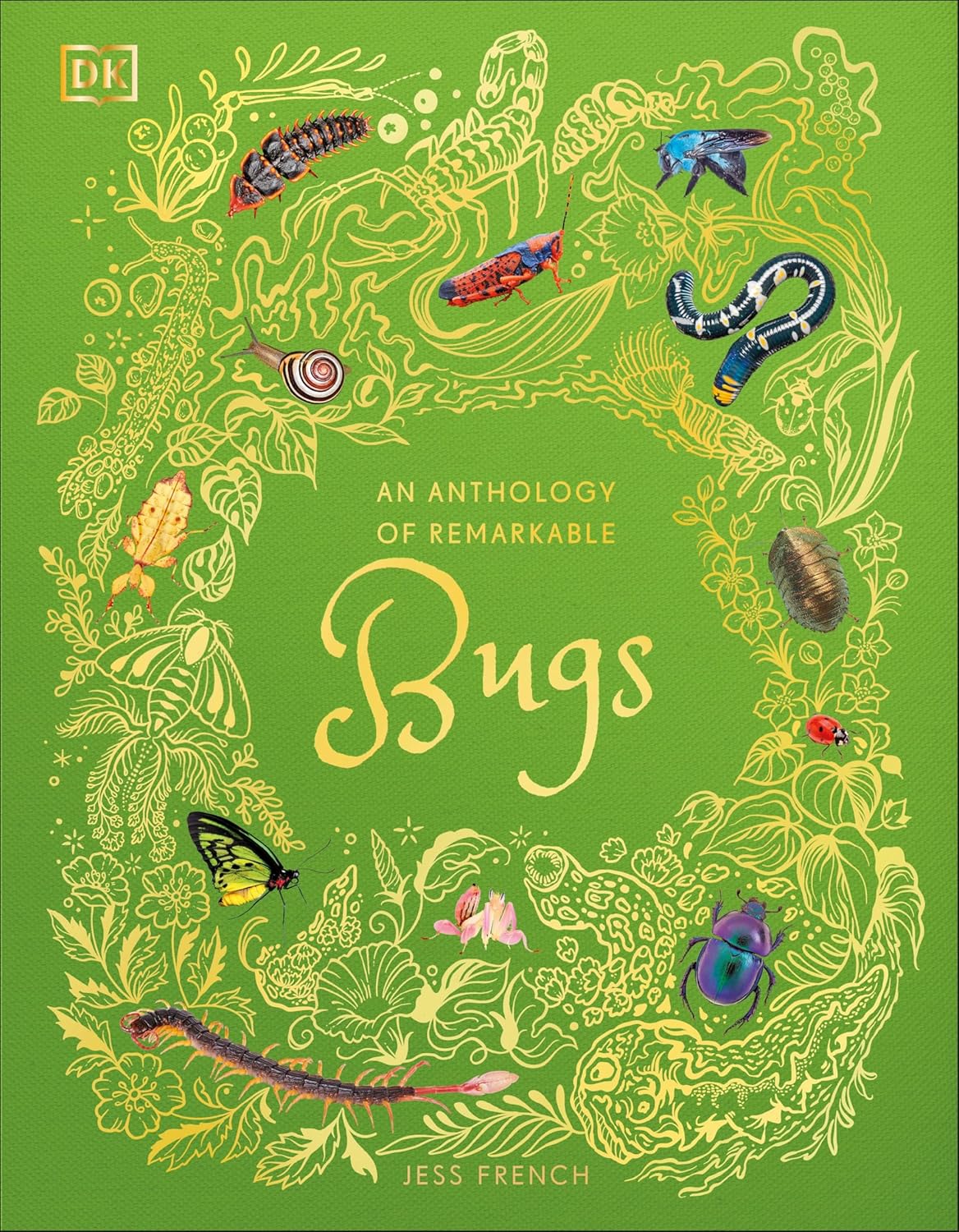 An Anthropology of Remarkable Bugs by Jess French
