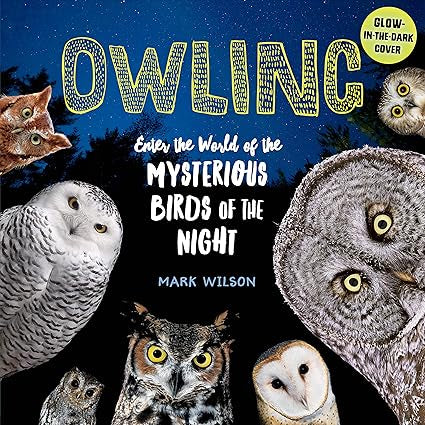 Owling by Mark Wilson