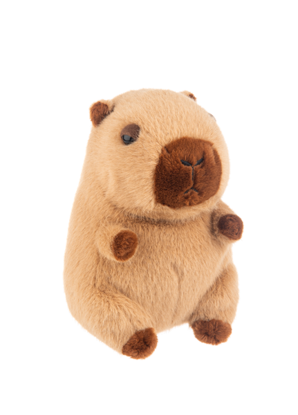 Cruz Capybara