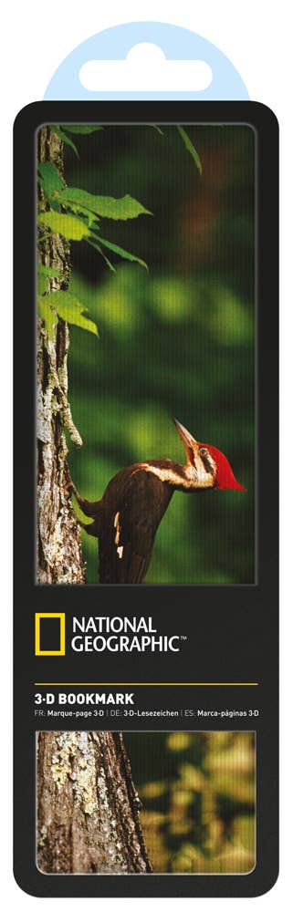 National Geographic Pileated Woodpecker Bookmark