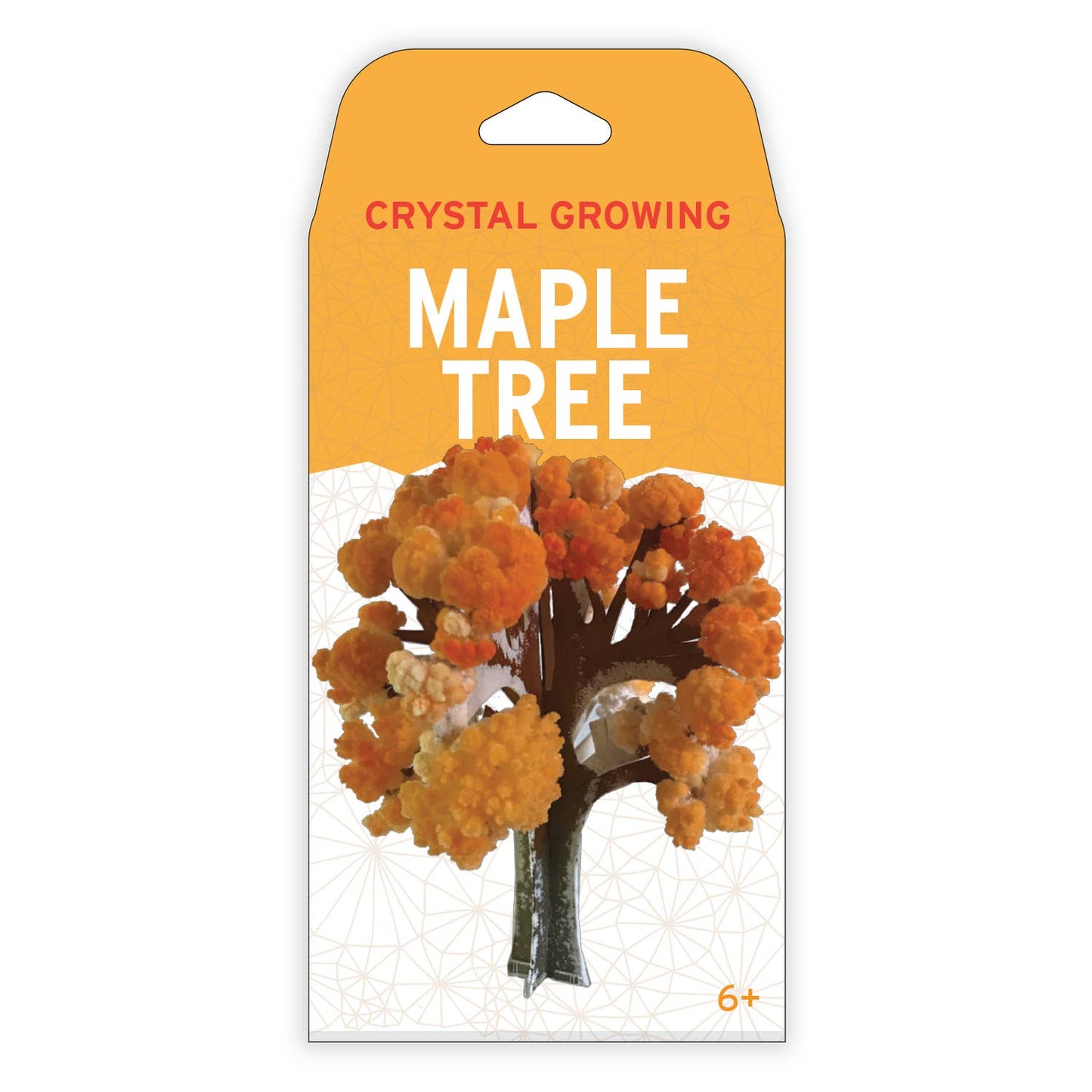 Crystal Growing Maple Tree |
Craft Kit Science Kit
