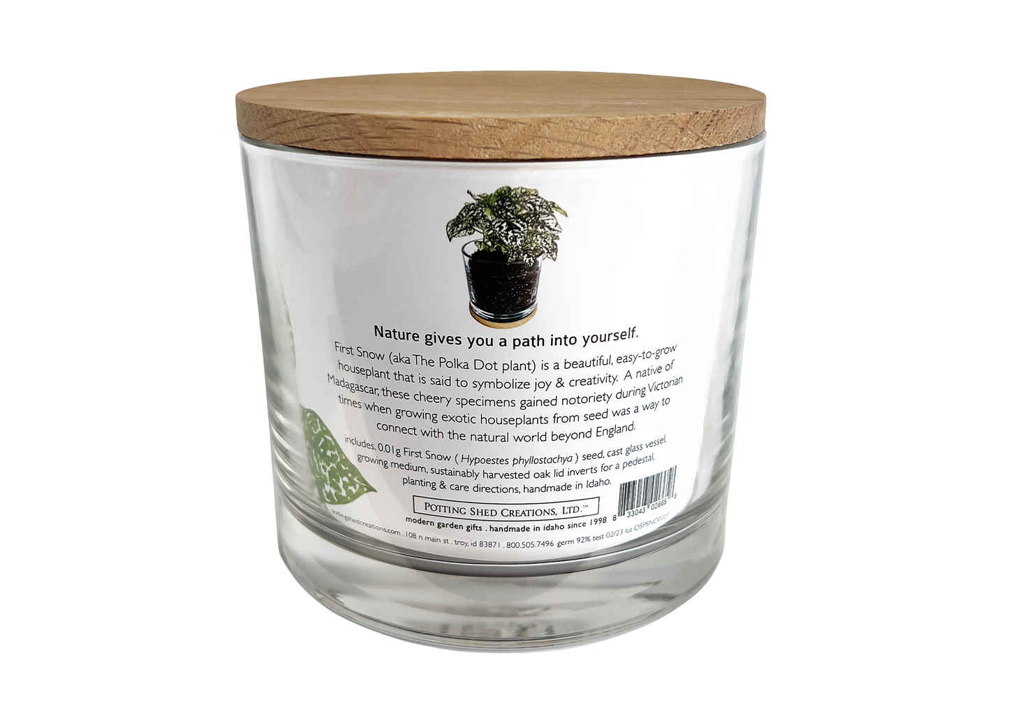 Houseplant Collection | First Snow
