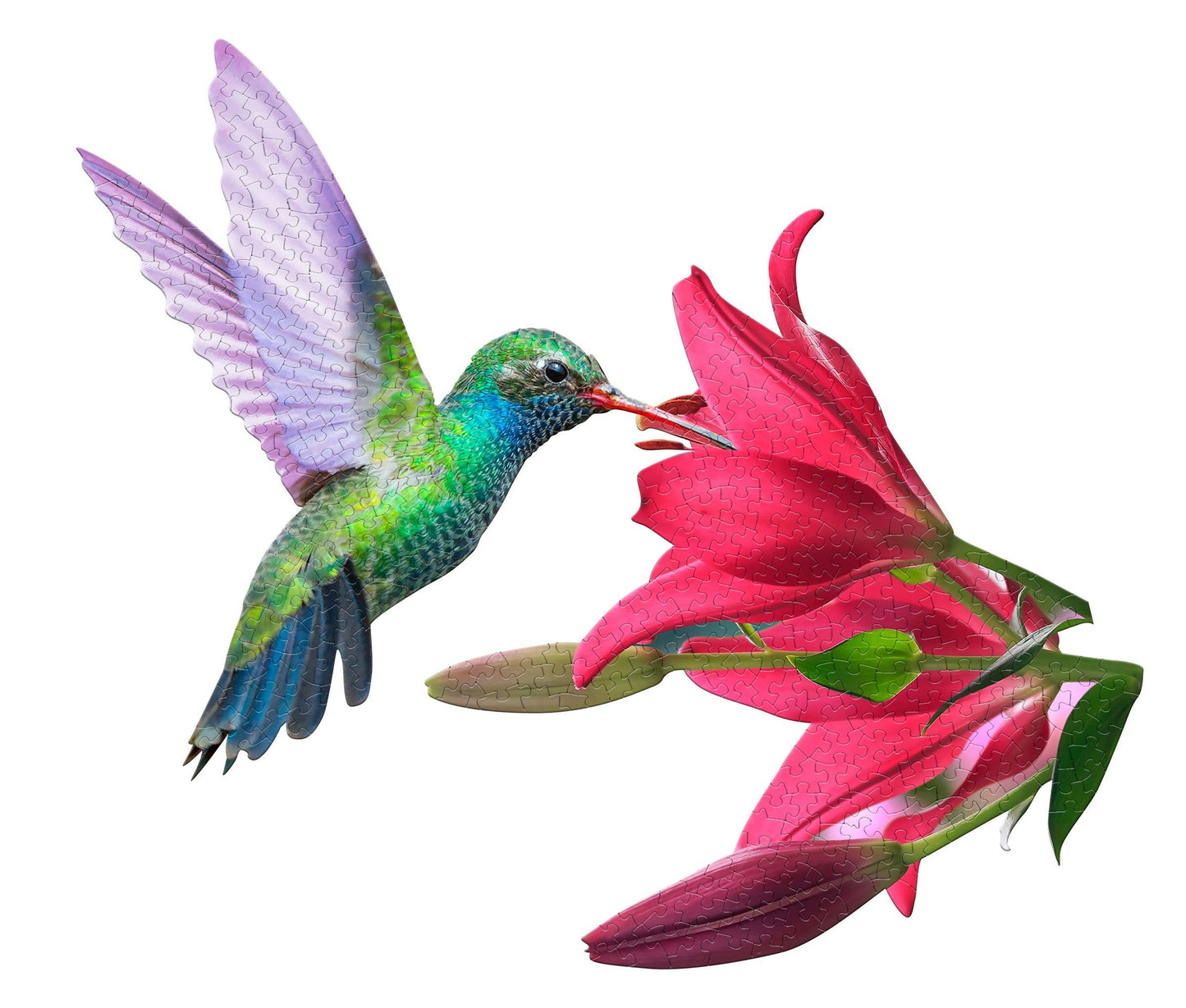 I AM HUMMINGBIRD 300 piece jigsaw puzzle - 300
