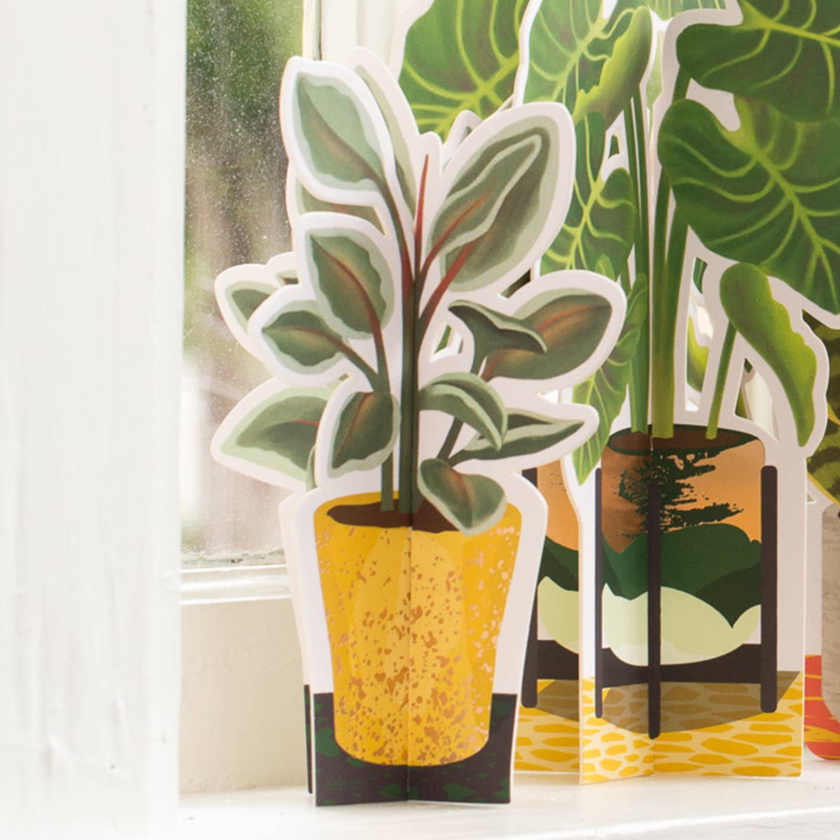 Rubber Plant Fold-Out Card