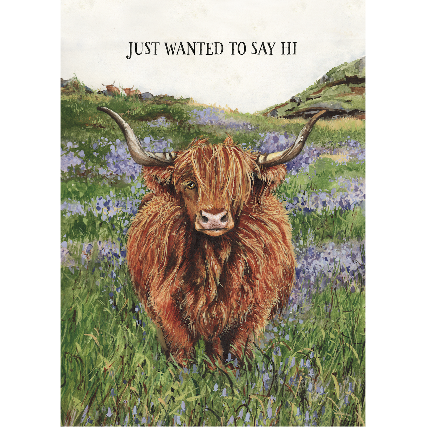 Hi, Highland Cow Card