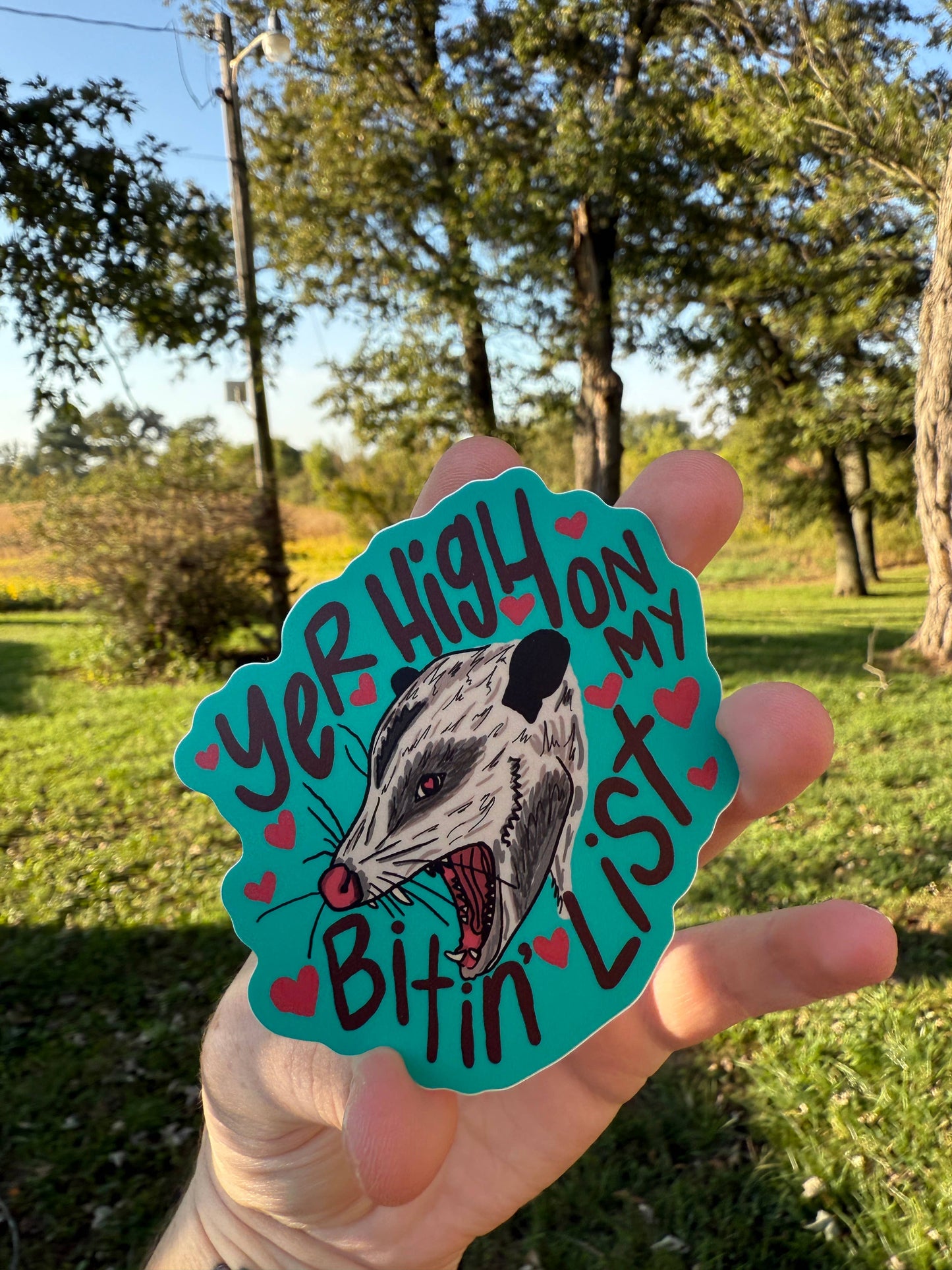 Bitin’ List Possum Sticker Tyler Childers Inspired
