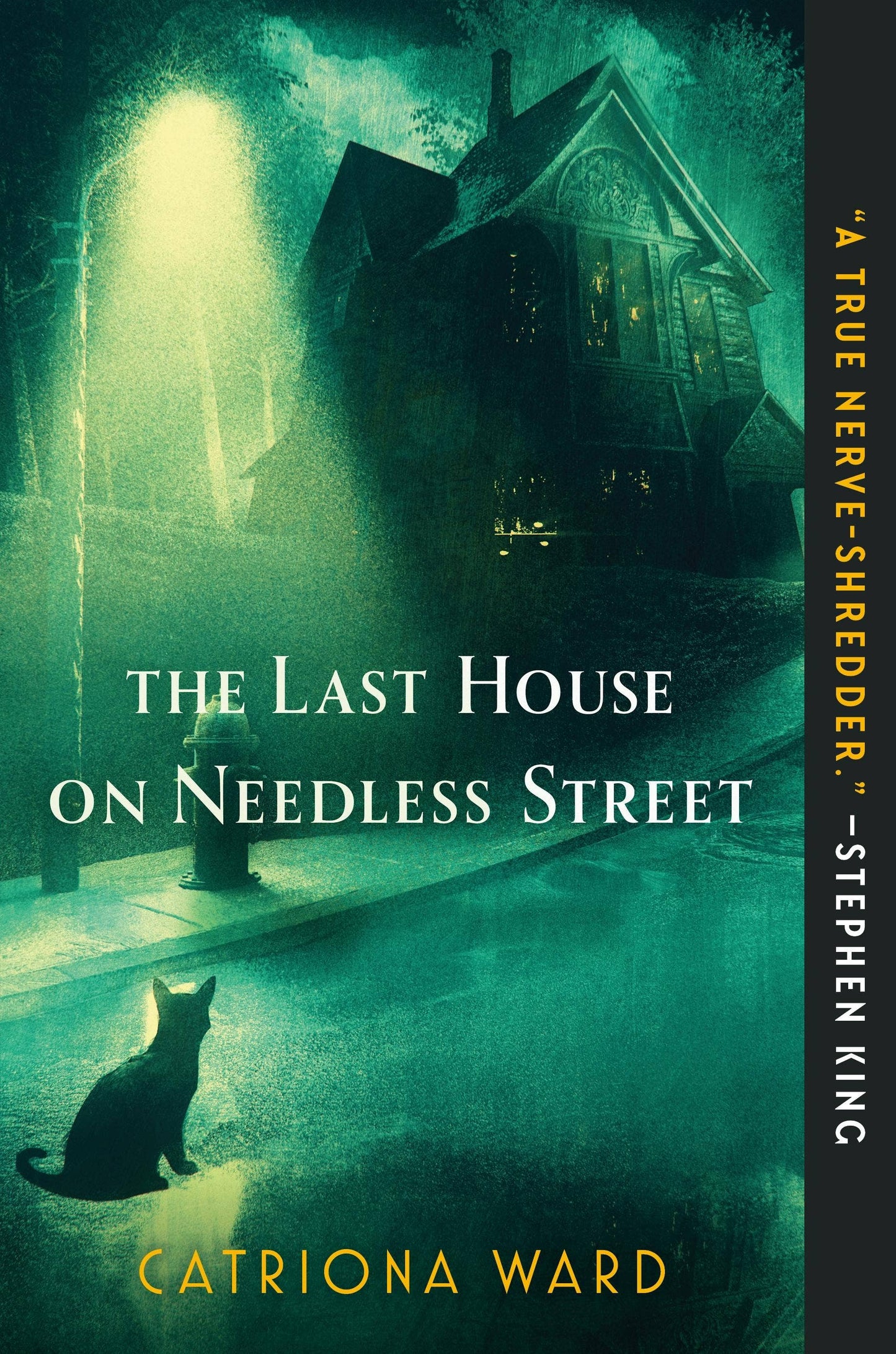 The Last House On Needless Street by Catriona Ward