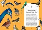 Bird Talk: Hilariously Accurate Ways to Identify Birds by Becca Rowland