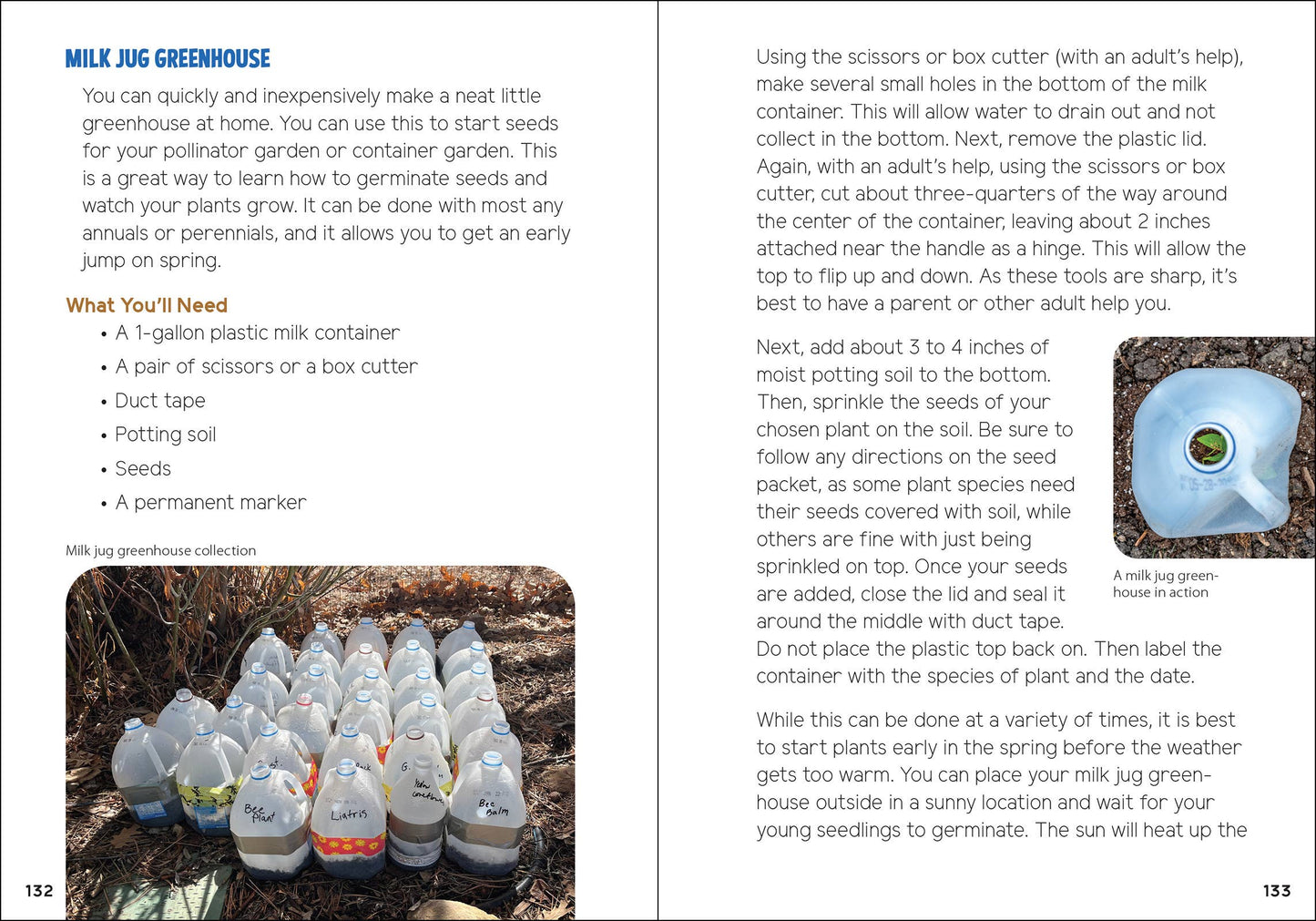 Pollinators & Native Plants for Kids