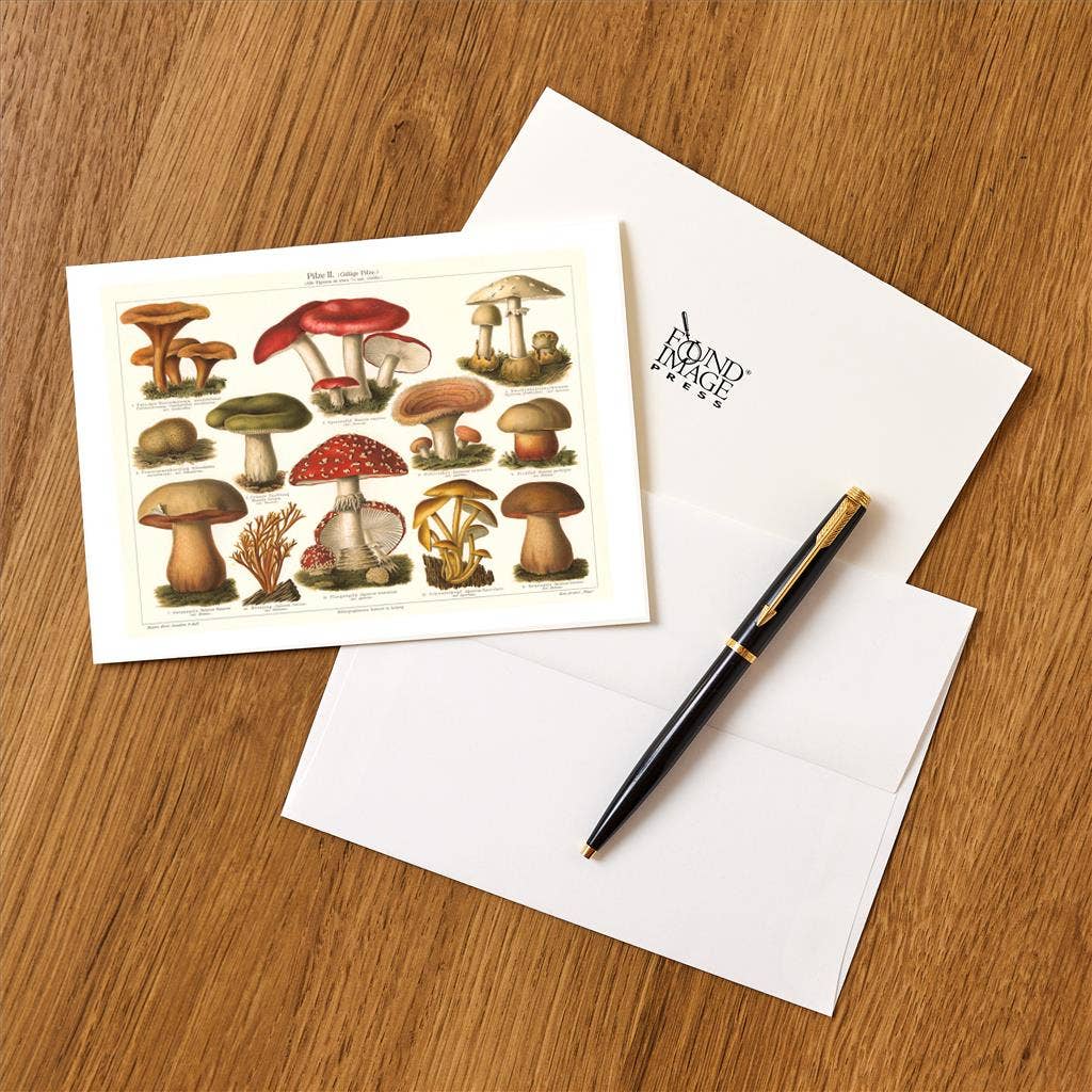 Greeting Card PL-12 Varieties of Mushroom