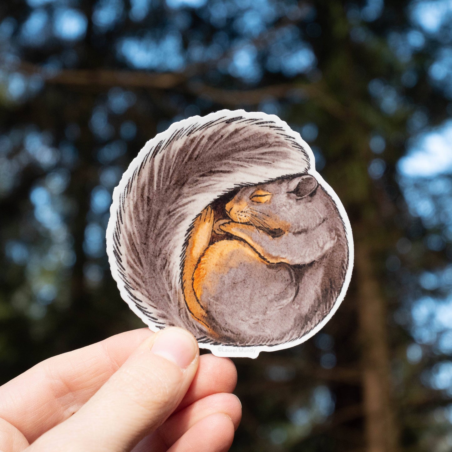 Sleepy Squirrel 3" Vinyl Sticker dishwasher safe