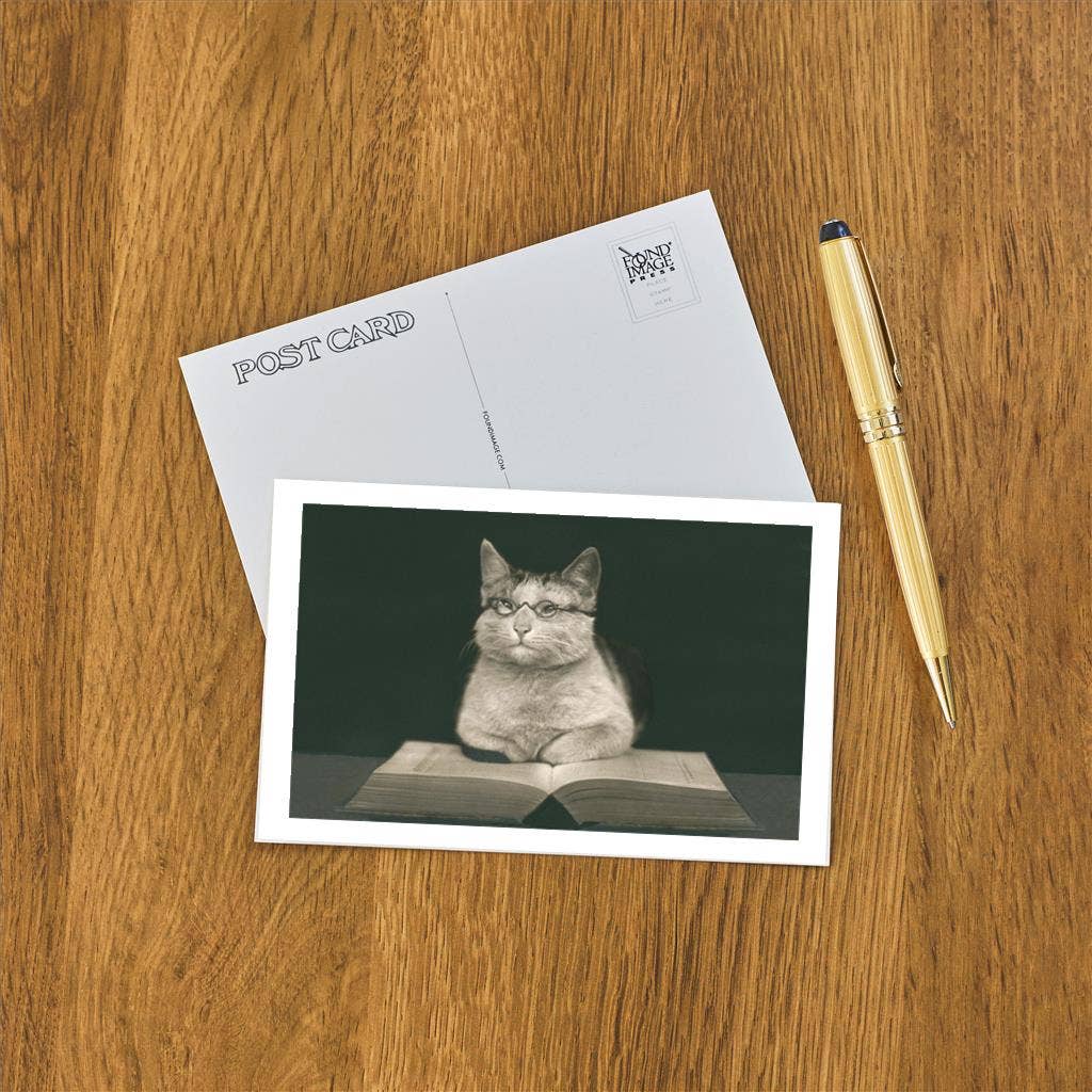 Postcard LT-229 Wise Cat Reading Book