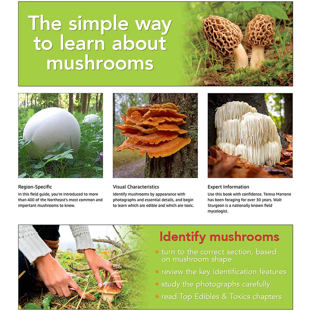 Mushrooms of the Northeast