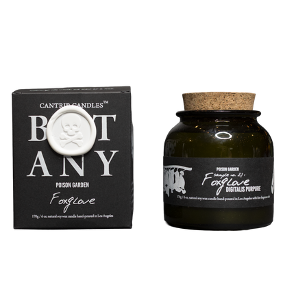 Botany: Poison Garden ~ Foxglove Candle