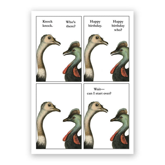 Cassowary Birthday Greeting Card