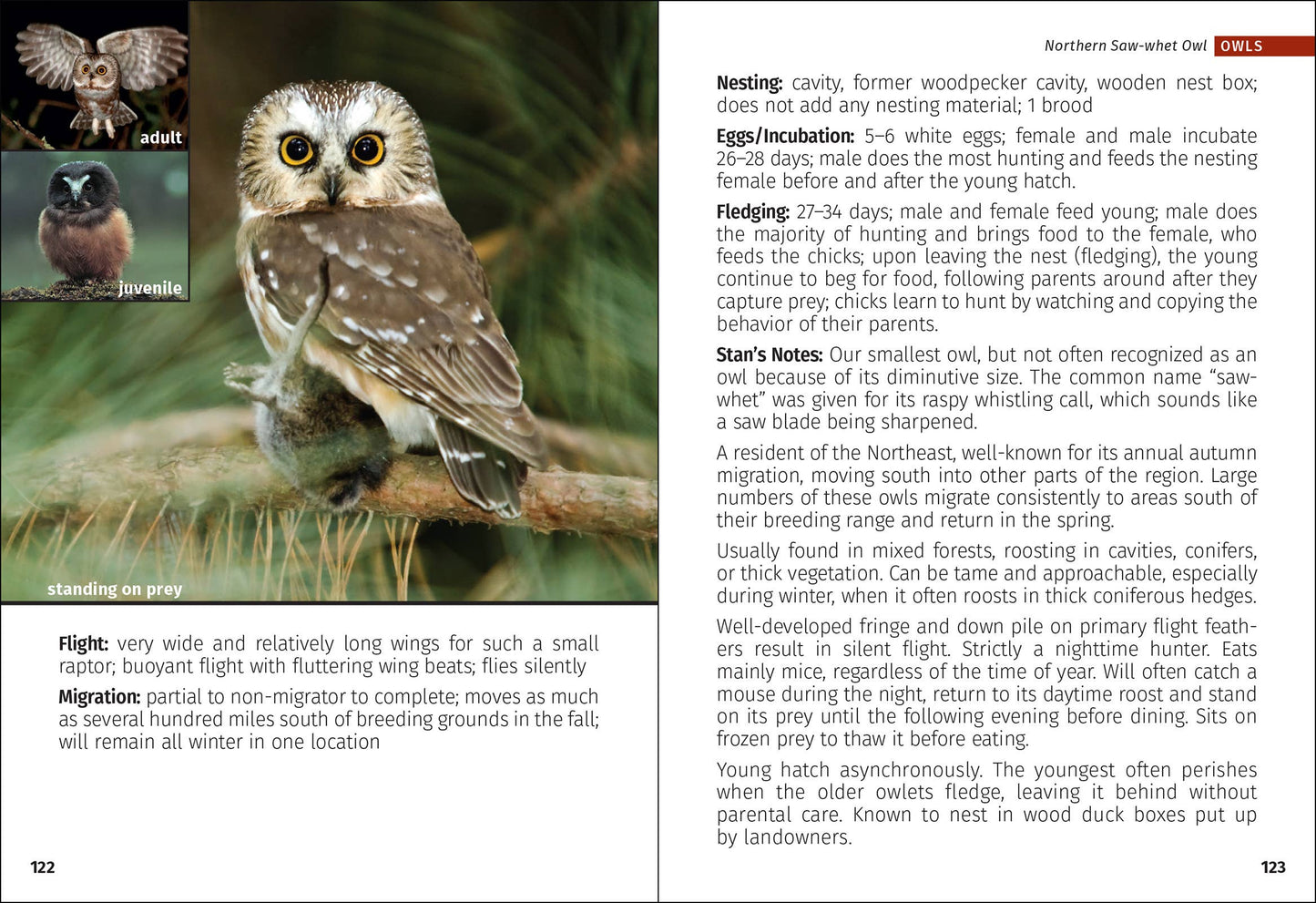 Birds of Prey of the Northeast Field Guide 2nd Edition