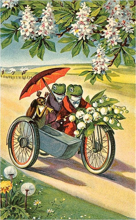Postcard CY-52 Two Frogs on Motorcycle with Umbrella and Flo
