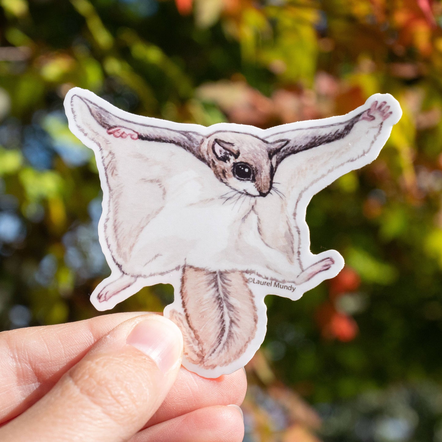 Flying Squirrel 3” Vinyl Sticker