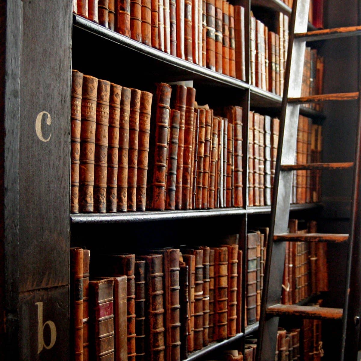 Library Scriptorium 6 oz.