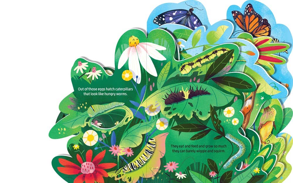 Beautiful Butterflies; Illustrated by Margarida Esteves