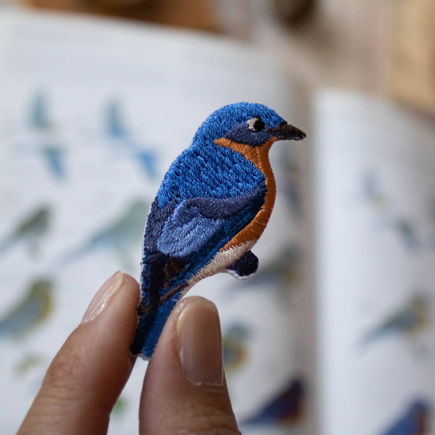 Eastern Bluebird Patch