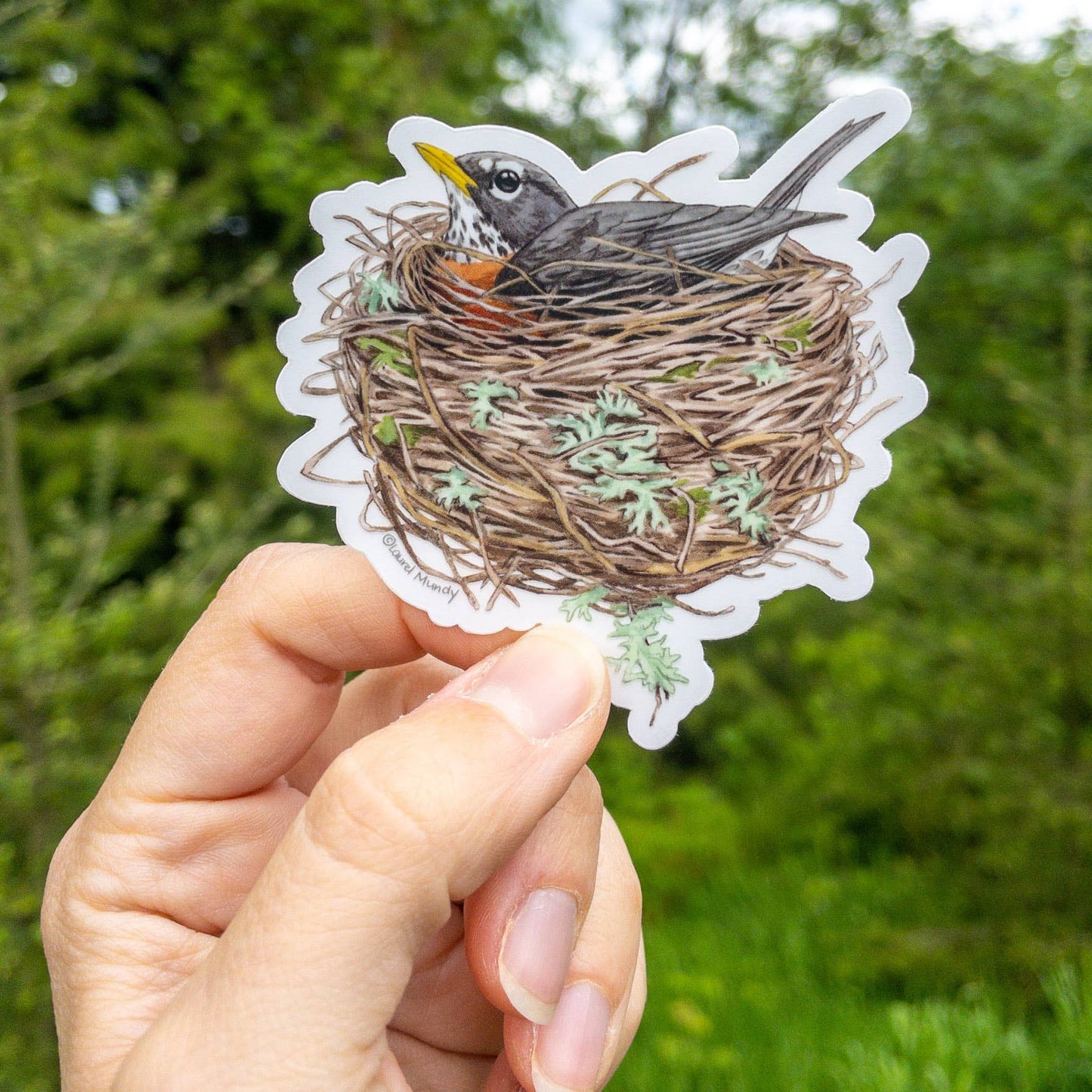 Robin in Nest 3" Medium Clear Vinyl Sticker