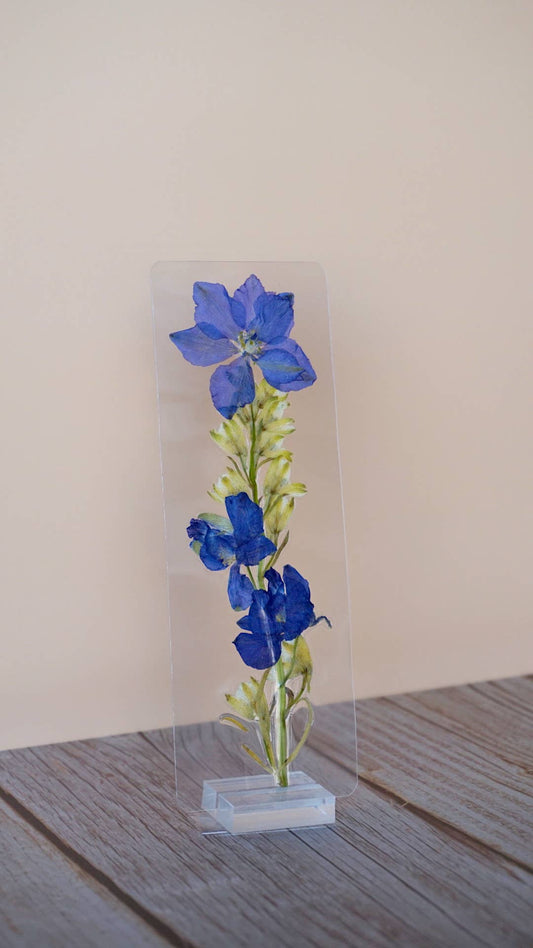 Edward Cullen Bookmark