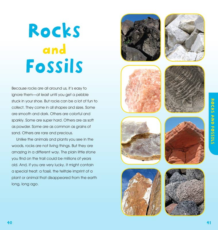 Walk in the Woods by Emily Laber-Warren