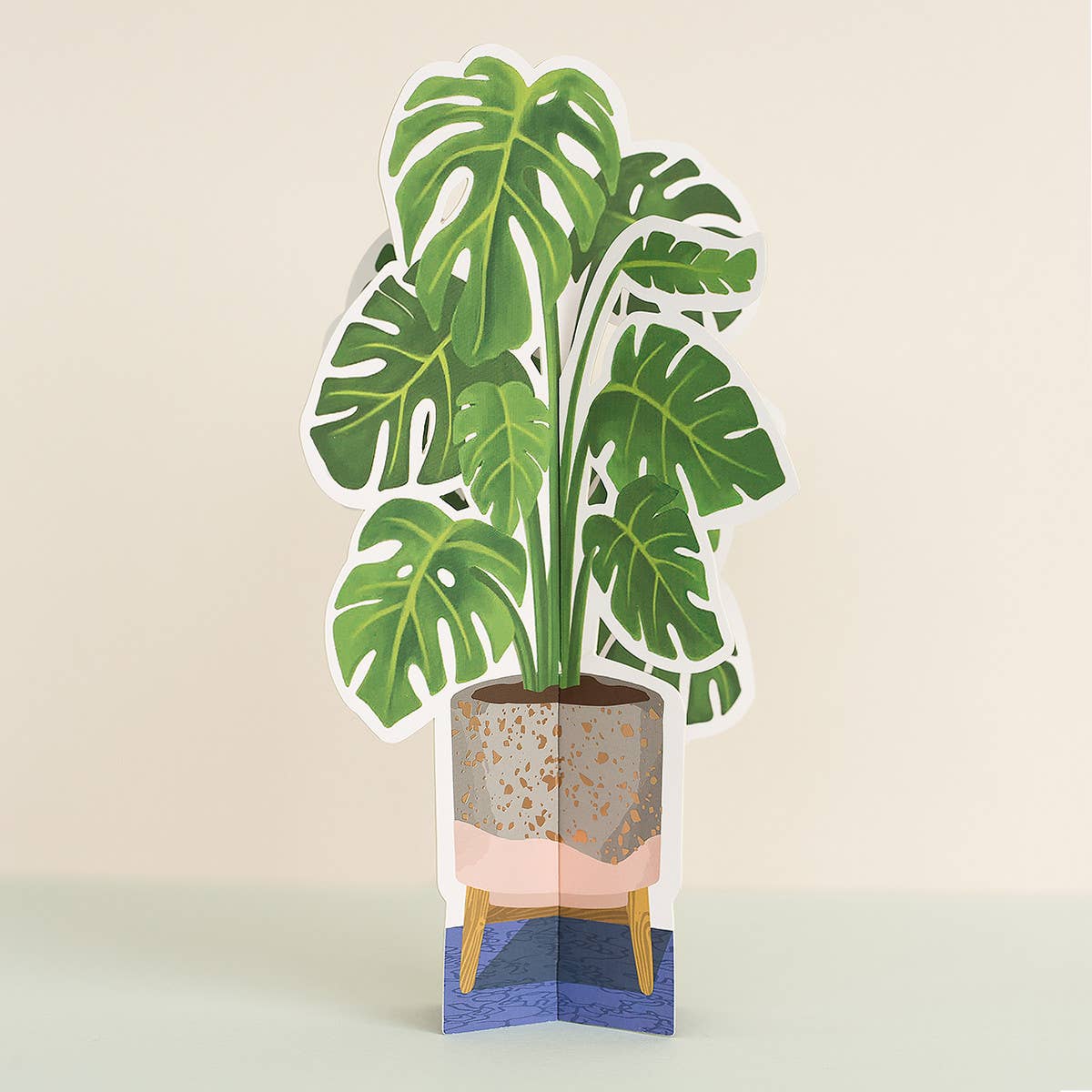 Monstera Plant Fold-Out Card