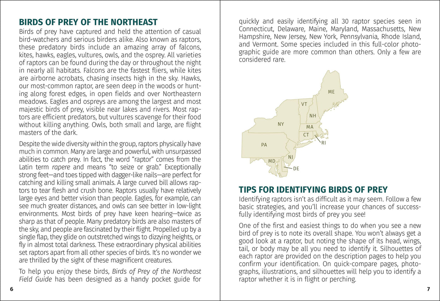 Birds of Prey of the Northeast Field Guide 2nd Edition