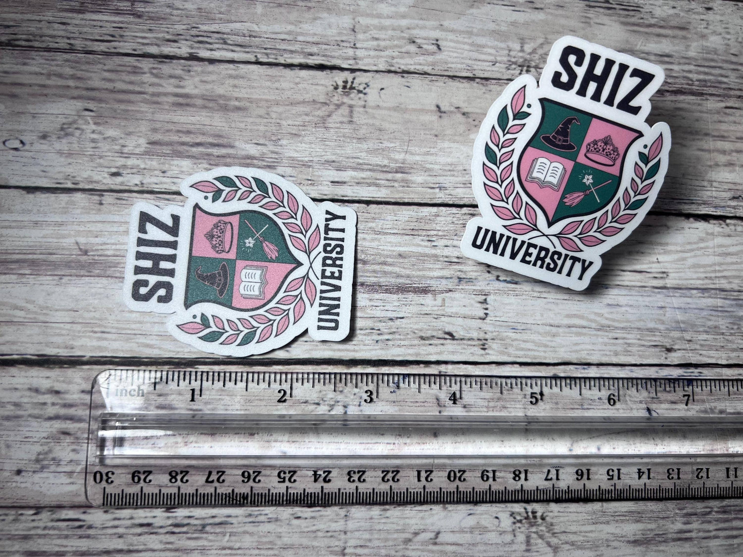 Wicked Elphaba & Glinda Inspired Sticker and Merch Set