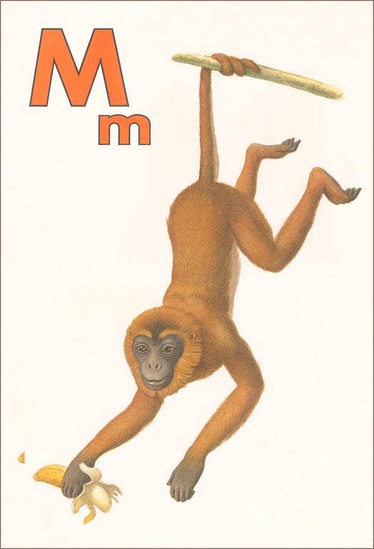 Greeting Card KF-963 M is for Monkey