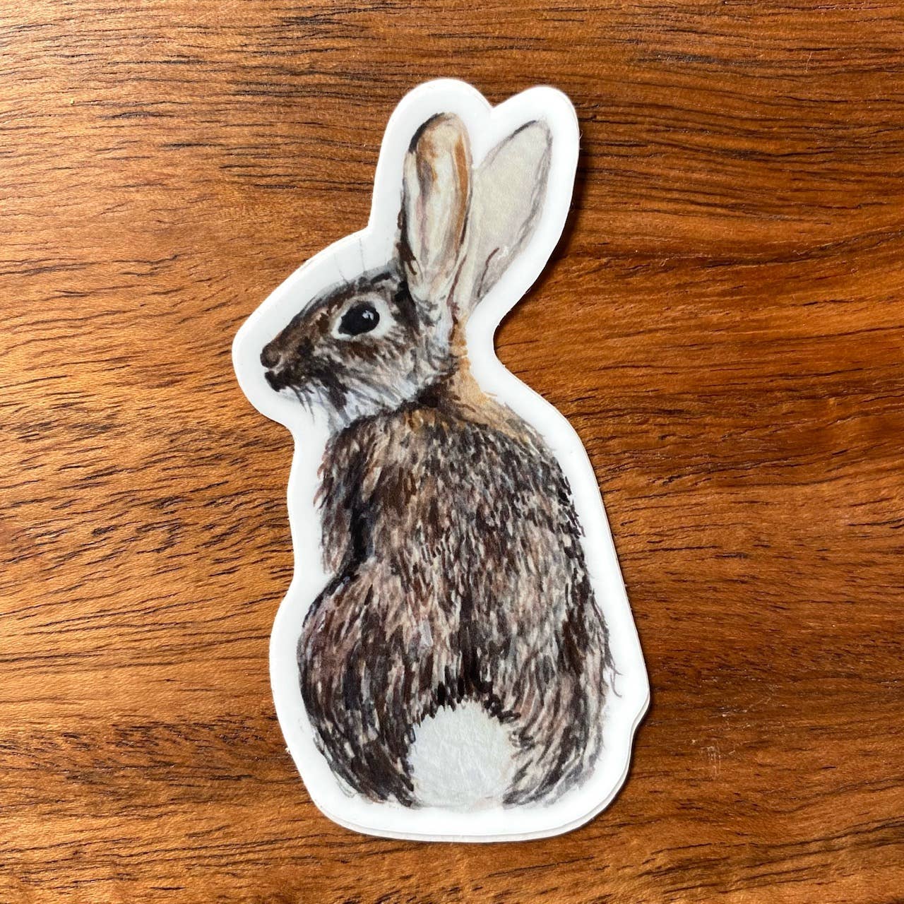 Cottontail Rabbit Sticker