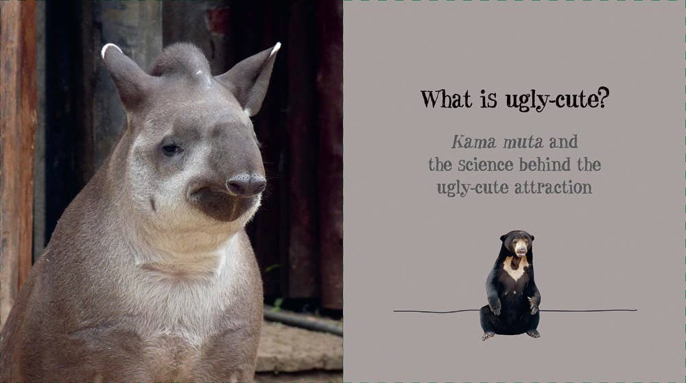 Ugly-Cute by Jennifer McCartney