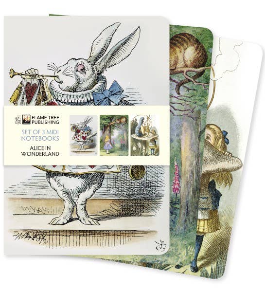 Alice In Wonderland Set of 3 Midi Notebooks