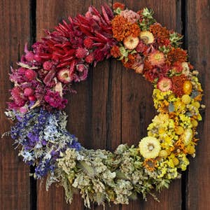 Designing with Dried Flowers by Hannah Muller (Hardcover)