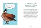 Bird Talk: Hilariously Accurate Ways to Identify Birds by Becca Rowland