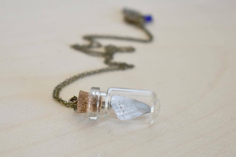 24" Butterfly Wing Bottle Terrarium Necklace