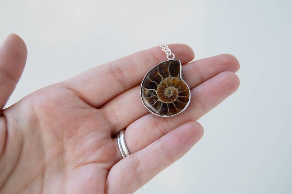 18" Ammonite Fossil Shell Necklace