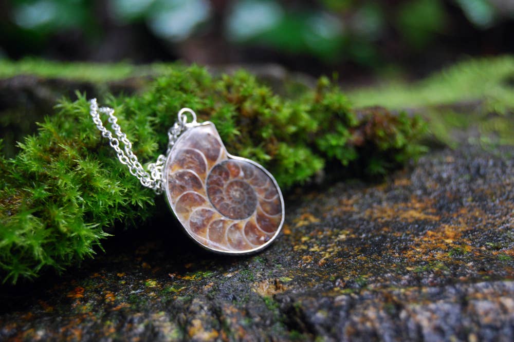 18" Ammonite Fossil Shell Necklace