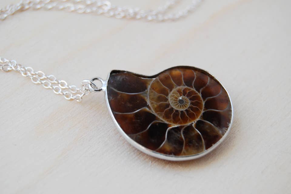 18" Ammonite Fossil Shell Necklace