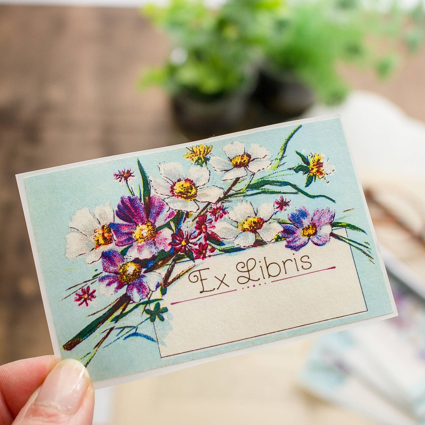 Blue Daisy Bookplate Stickers