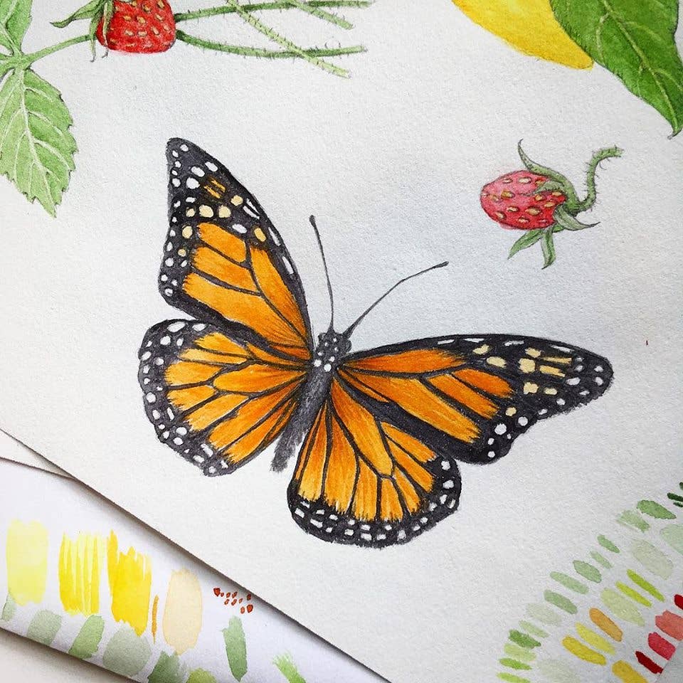 Monarch Butterfly Enclosure Card