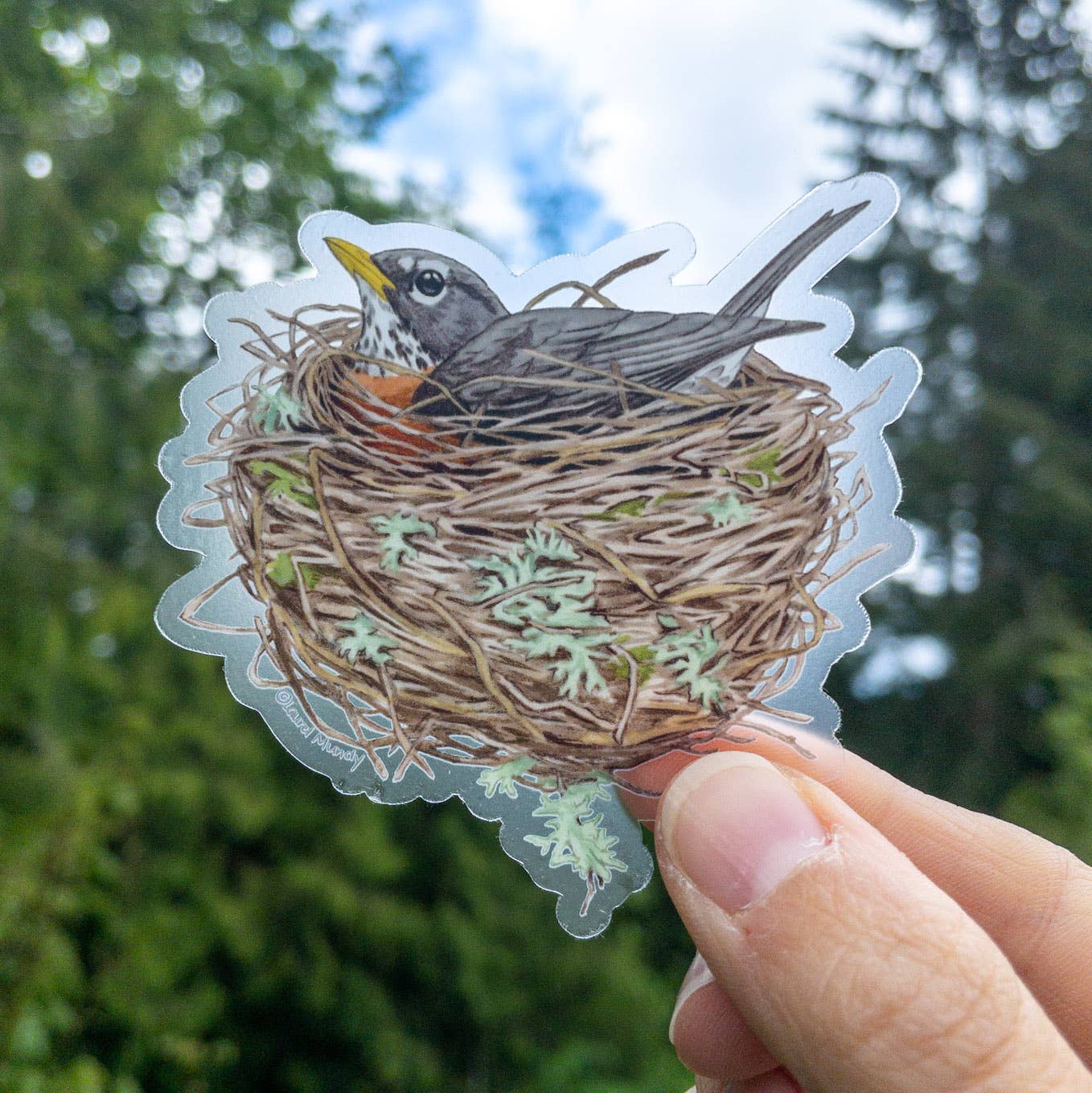 Robin in Nest 3" Medium Clear Vinyl Sticker