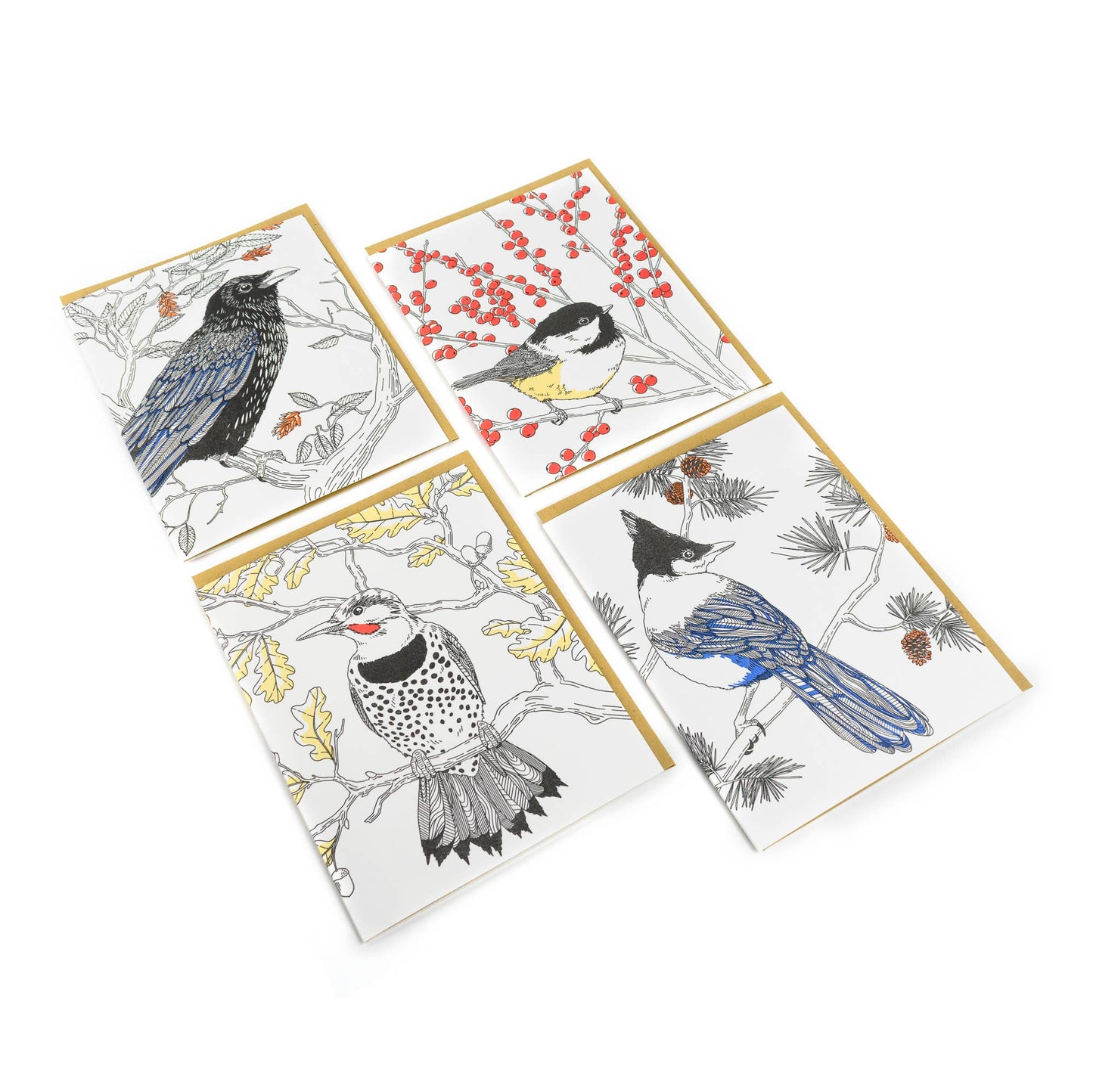 Black-capped Chickadee Card