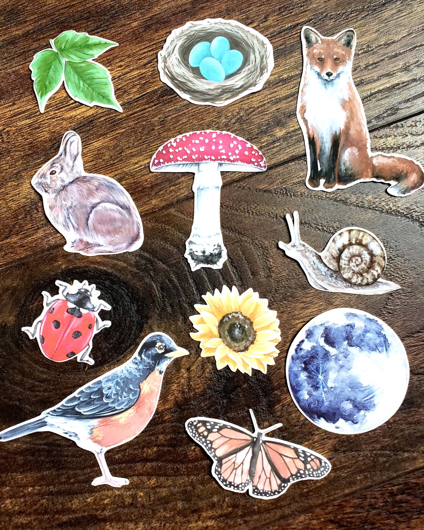 Backyard Nature Sticker Pack, Set of 11 Stickers