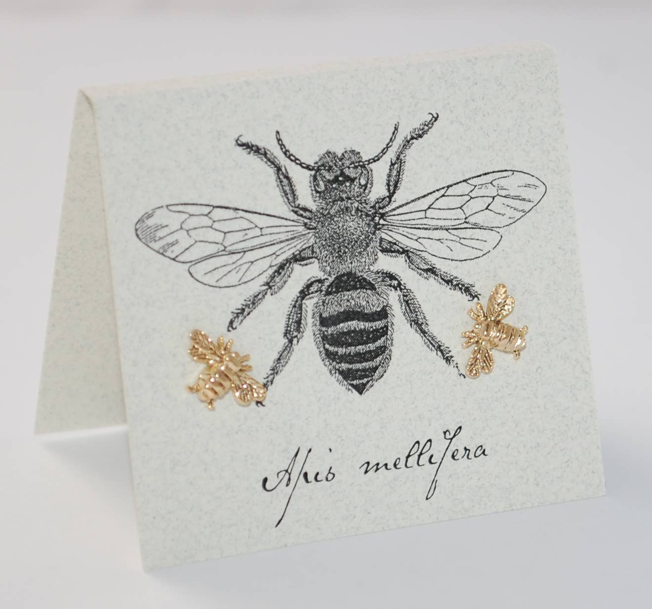 Bee Stud Earrings Gold Natural History